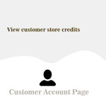 Where can I find a customer's store credits?