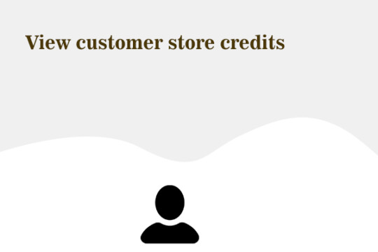Where can I find a customer's store credits?